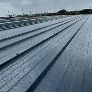 Liquid Roofing