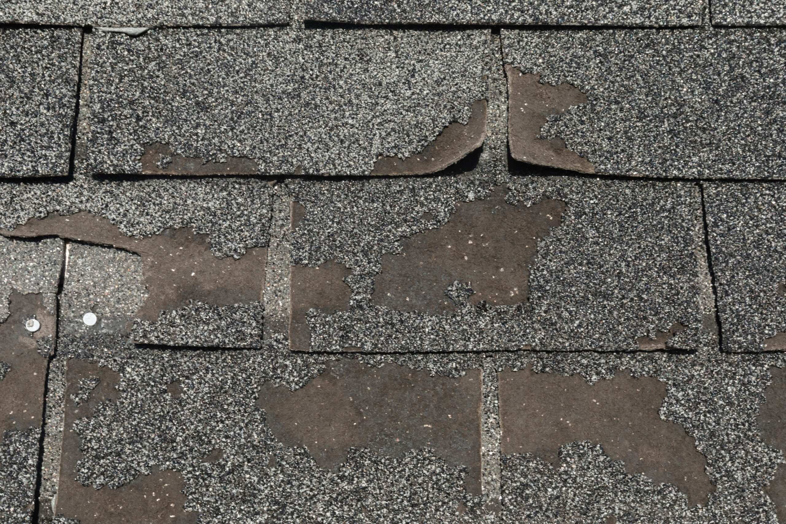 Roof Repair