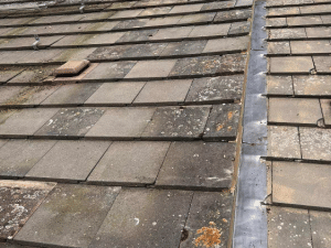 test for asbestos